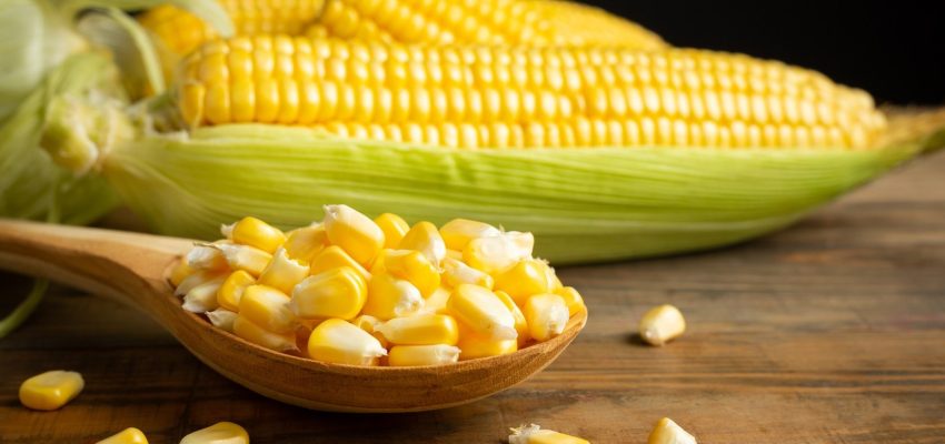 seeds and sweet corn on wooden table.